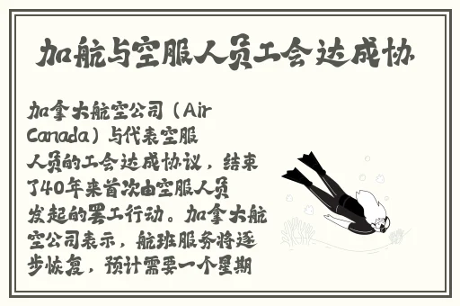 51免费吃瓜入口